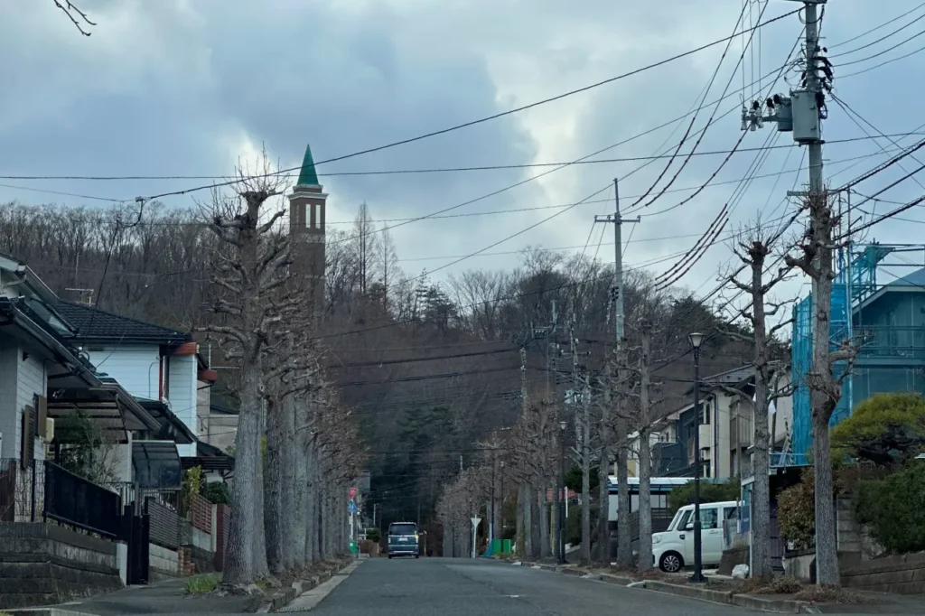 寺岡山のとんがりタワー