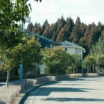 泉パークタウン街の様子