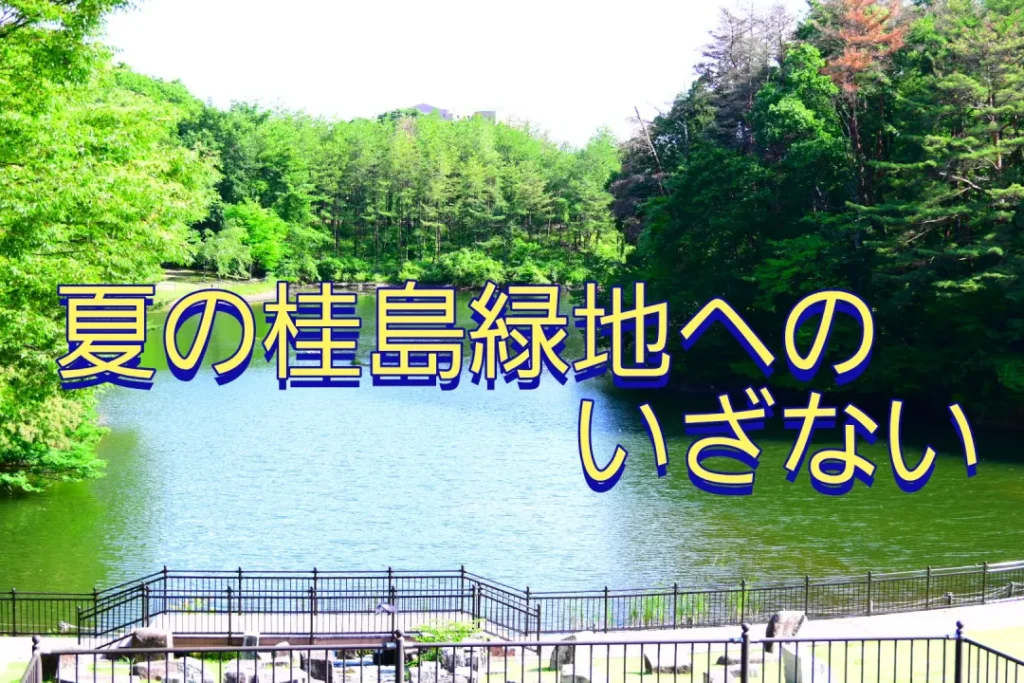 ブラカメさん投稿