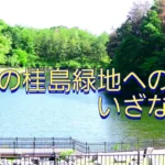 ブラカメさん投稿