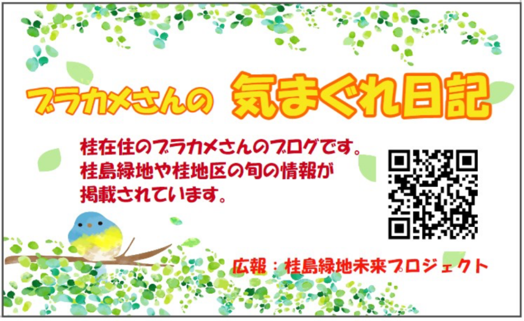気まぐれ日記
