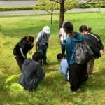 フェアリーフォレストできのこ観察
