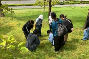 フェアリーフォレストできのこ観察